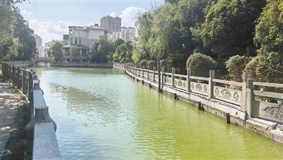 垃圾清除 護(hù)欄修復(fù) 景觀河面貌改觀（反饋）:護(hù)欄