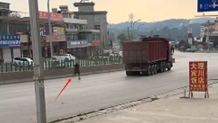 驚險(xiǎn)！一大貨車發(fā)生溜車事故撞上人行道護(hù)欄<strong></p>
<p>護(hù)欄</strong>，司機(jī)狂奔追車……:護(hù)欄